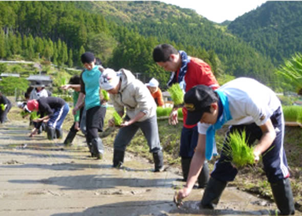 写真：田植えボランティア